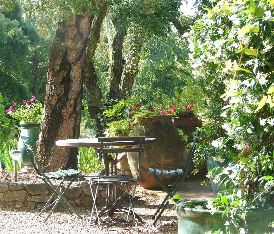 圣马克西姆Le Bastidon Saint-Michel住宿加早餐旅馆 外观 照片