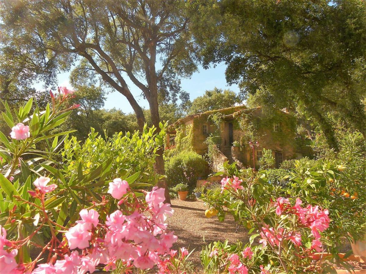 圣马克西姆Le Bastidon Saint-Michel住宿加早餐旅馆 外观 照片